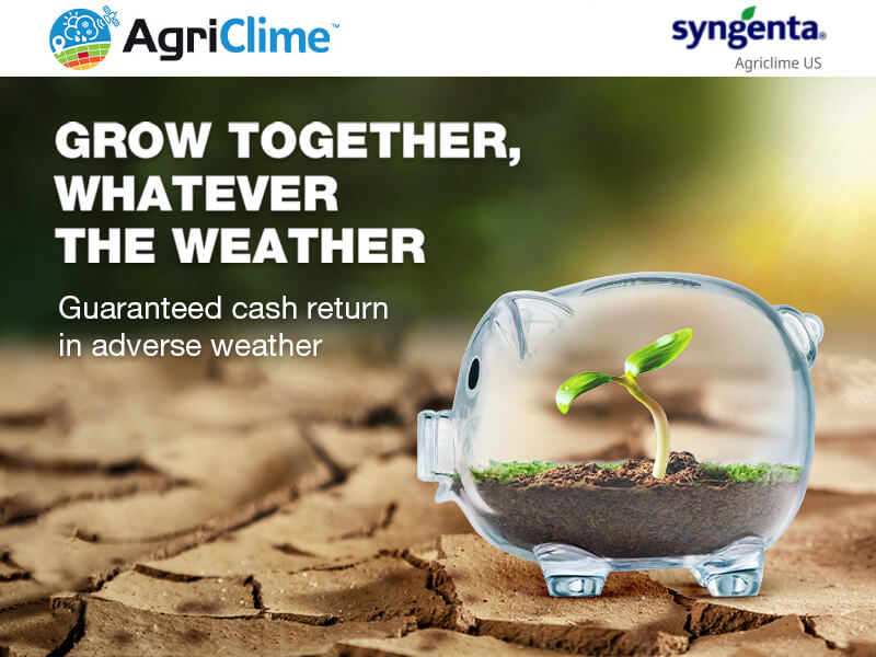 Grow together, whatever the weather – guaranteed cash return in adverse weather
