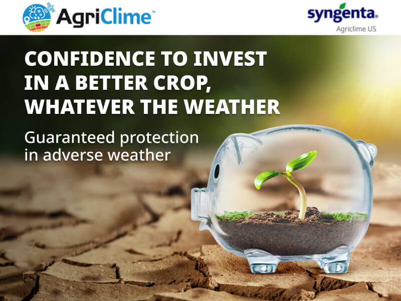 Confidence To Invest In A Better Crop, Whatever The Weather